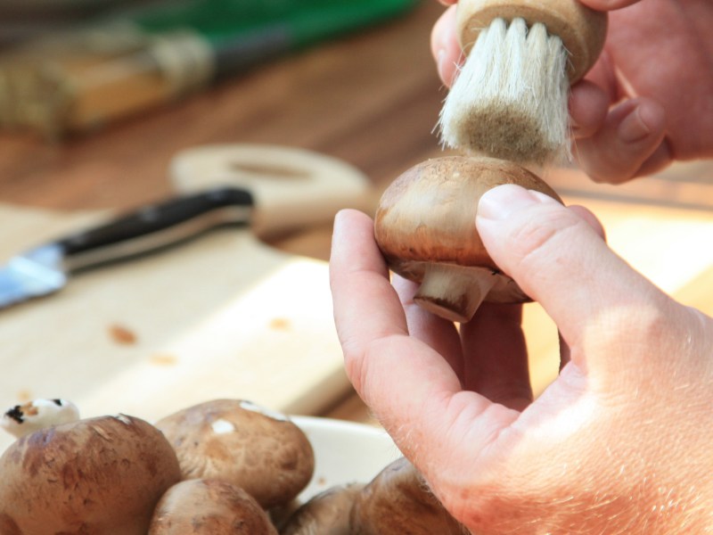 Person putzt Pilze mit einer kleinen Bürste.