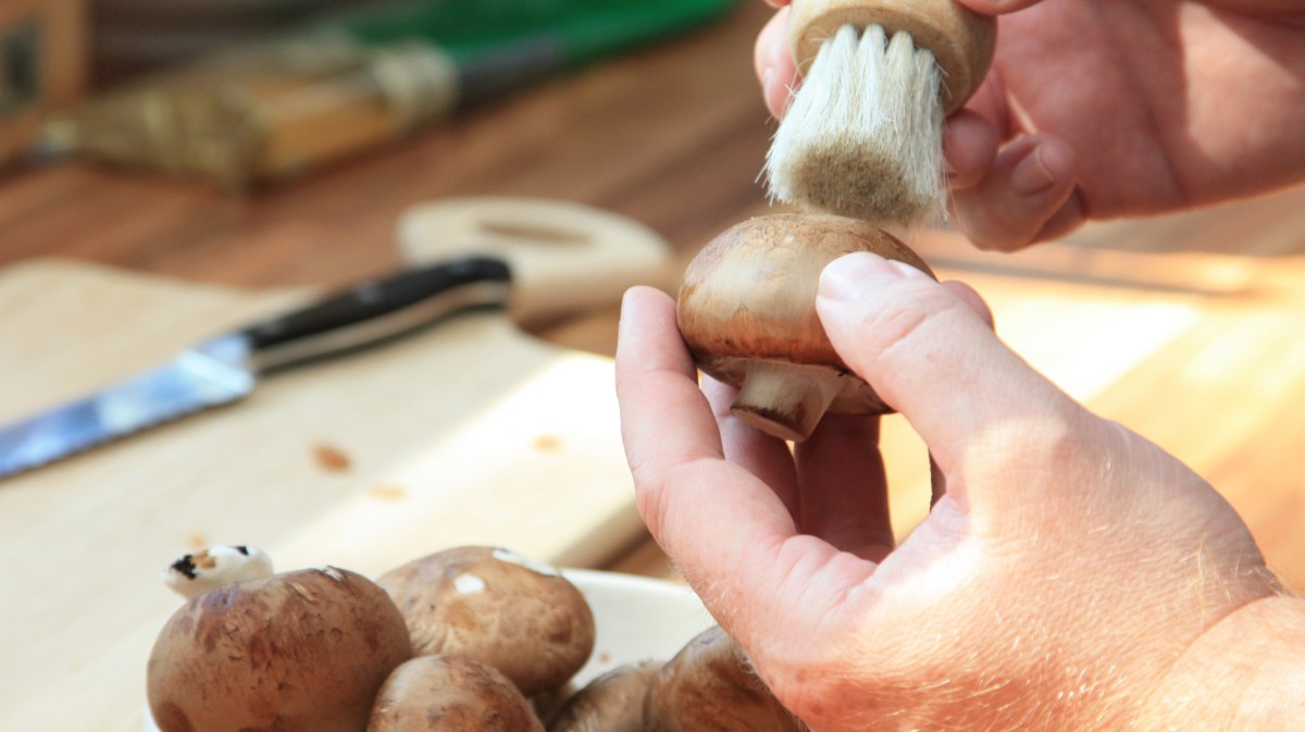 Person putzt Pilze mit einer kleinen Bürste.