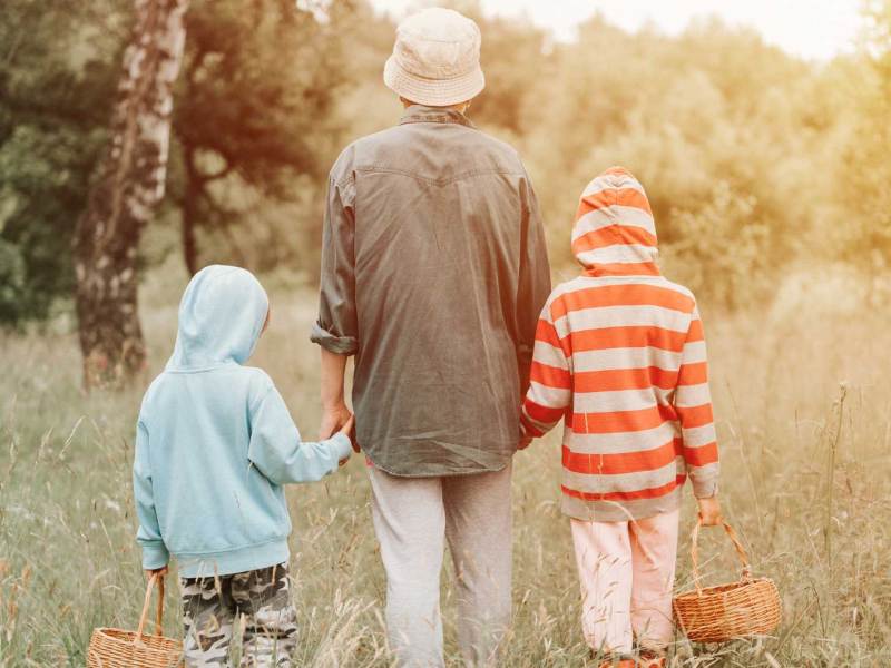 Ein Elternteil und zwei Kinder gehen mit Körben in der Hand in den Wald, um Pilze zu sammeln.