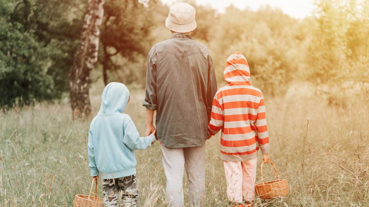 Ein Elternteil und zwei Kinder gehen mit Körben in der Hand in den Wald, um Pilze zu sammeln.