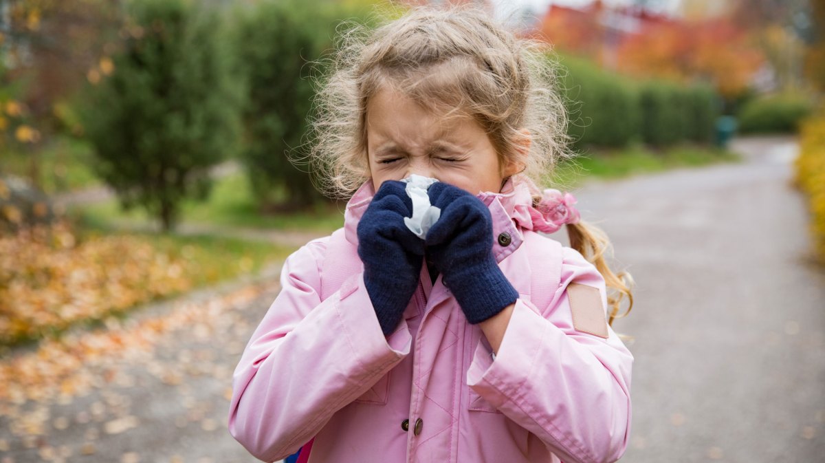 Mädchen, ca. 6 Jahre alt, putzt sich draußen, an einem Herbsttag, beherzt die Nase.