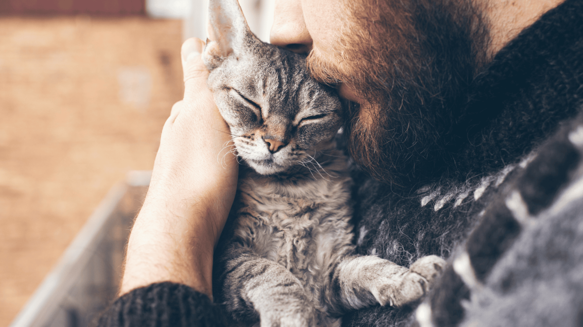 Mann mit Bart kuschelt mit Katze auf seinem Arm.