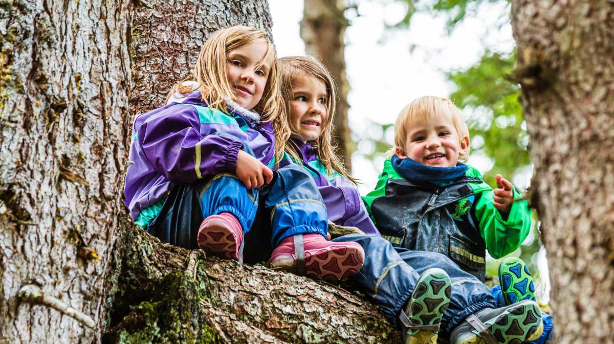 Porträt dreier Kinder, die in Regenkleidung im Wald auf einem Baum sitzen.