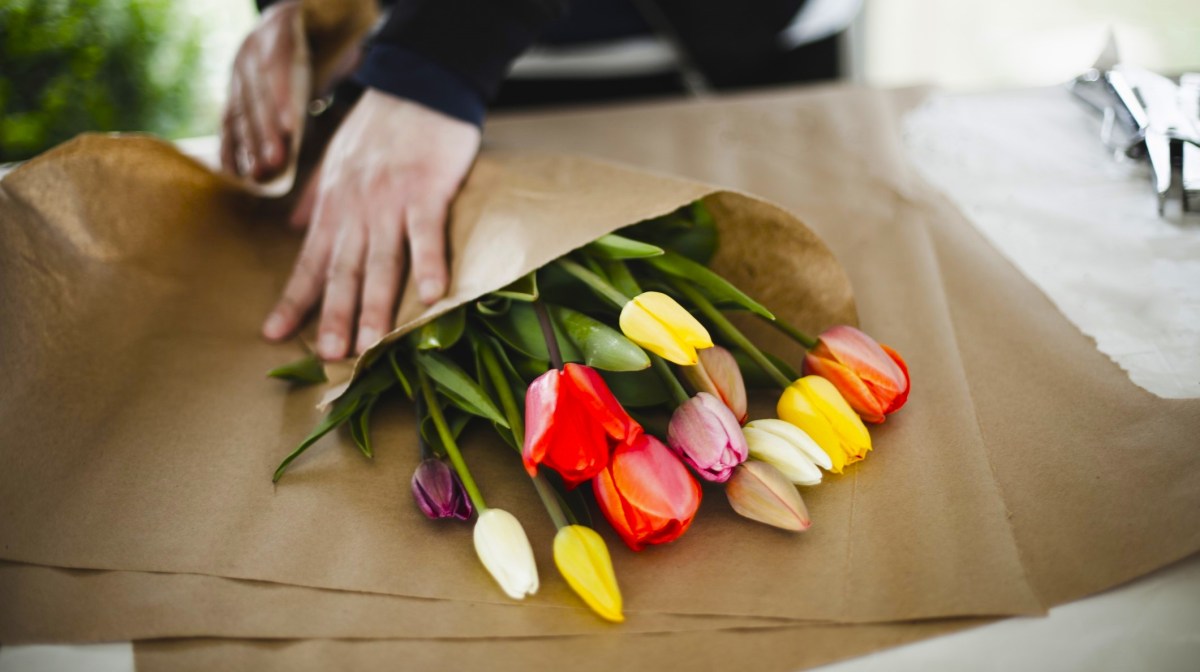 Hände packen Tulpen in Papier