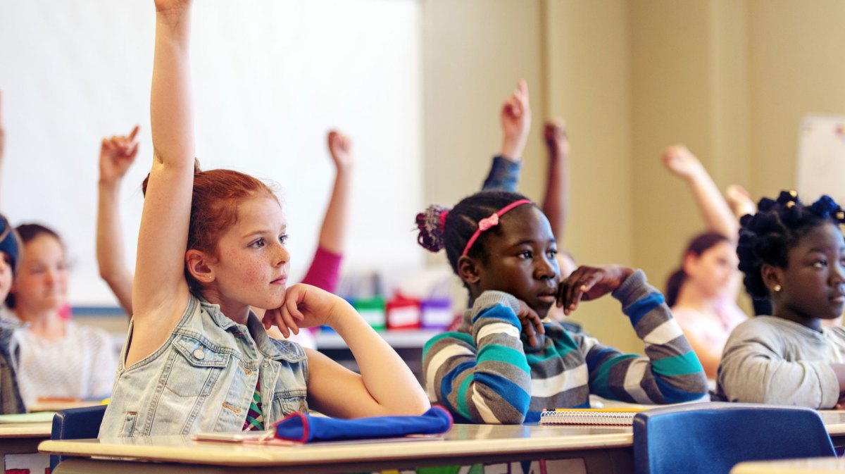 Ausschnitt einer Schulklasse mit Schüler*innen, die sich melden und Schüler*innen, die sich nicht melden.